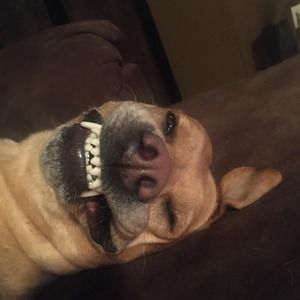 Meet your Posher, Jim